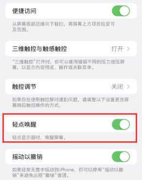 津南苹果授权维修站分享iPhone轻点无法唤醒怎么办 