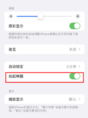 津南苹果授权维修站分享iPhone轻点无法唤醒怎么办