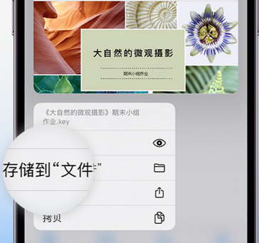 津南apple维修中心分享iPhone文件应用中存储和找到下载文件