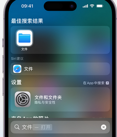 津南apple维修中心分享iPhone文件应用中存储和找到下载文件 