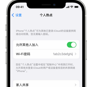 津南apple服务站点分享iPhone上个人热点丢失了怎么办