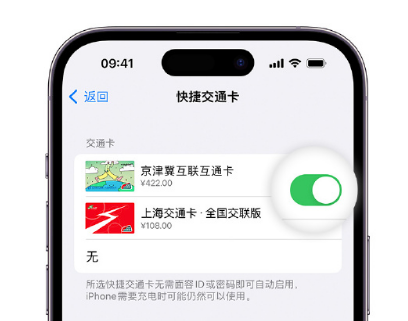 津南apple维修点分享iPhone上更换Apple Pay快捷交通卡手绘卡面 