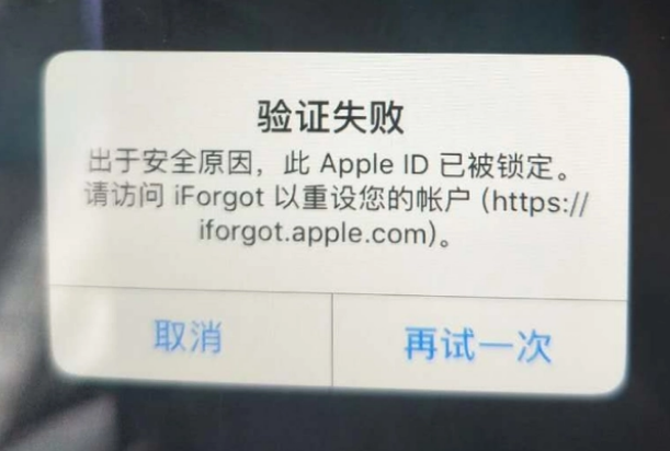 津南iPhone维修分享iPhone上正常登录或使用AppleID怎么办 