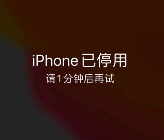 津南苹果手机维修分享:iPhone 显示“不可用”或“已停用”怎么办？还能保留数据吗？ 