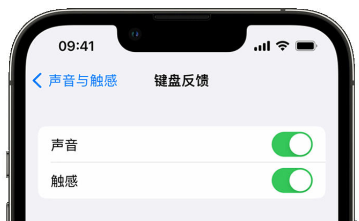 津南苹果手机维修分享iPhone 14触感键盘使用方法 