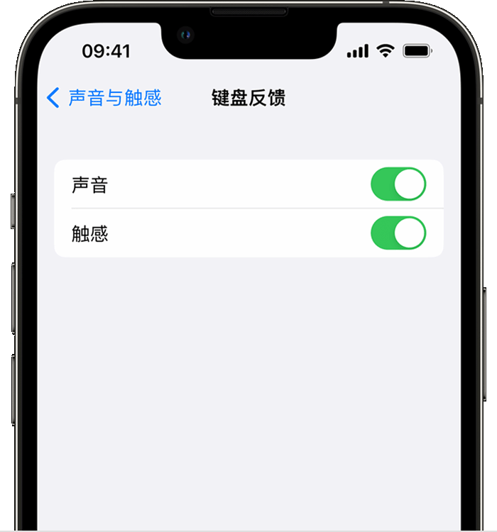 津南苹果14维修店分享如何在 iPhone 14 机型中使用触感键盘 