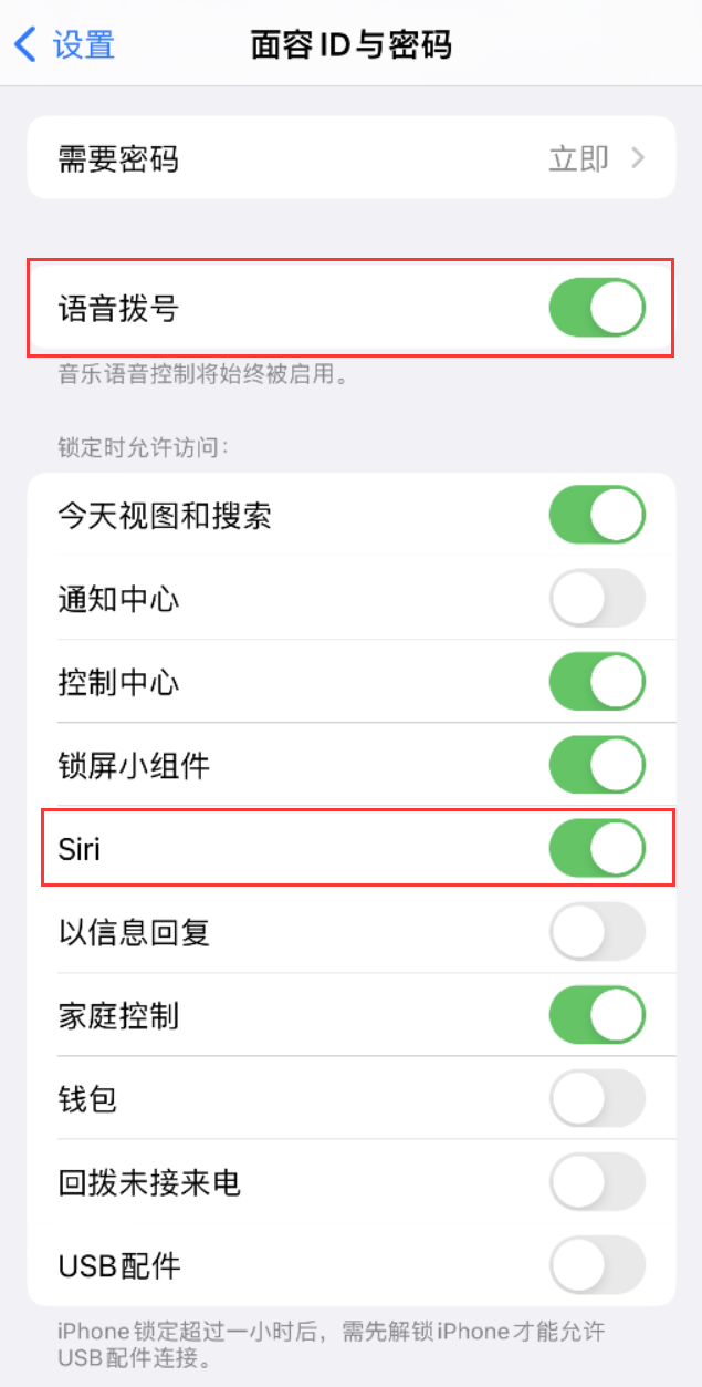 津南苹果维修网点分享不解锁 iPhone 的情况下通过 Siri 拨打电话的方法 