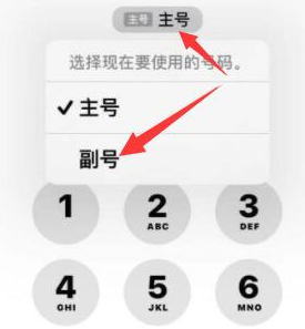 津南苹果14维修店分享iPhone 14 Pro Max使用副卡打电话的方法 