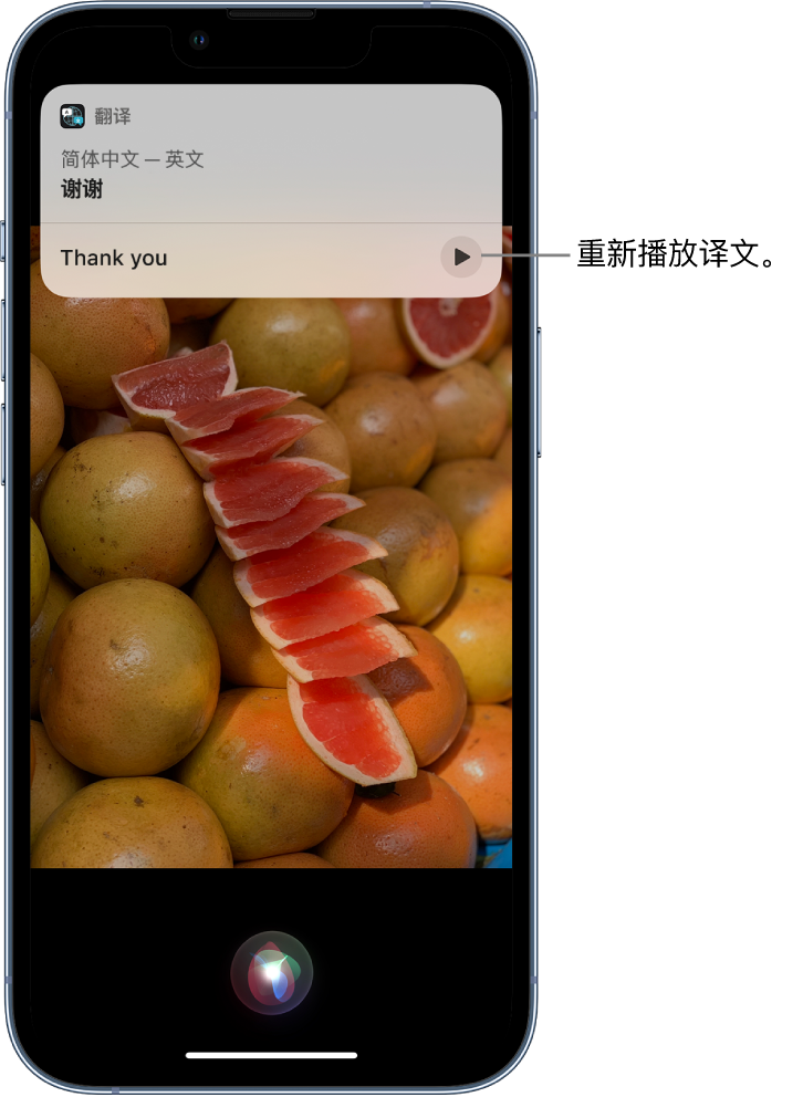 津南苹果14维修分享 iPhone 14 机型中使用 Siri：了解 Siri 能帮你做什么 