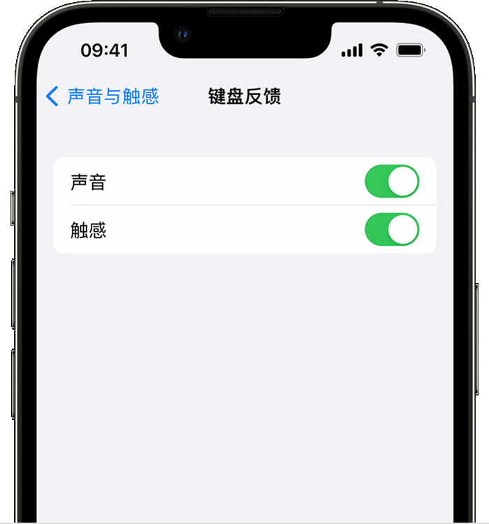 津南苹果14维修分享iPhone 14 系列机型如何开启键盘声音或触感反馈 