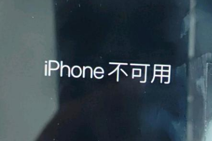 津南苹果服务网点分享锁屏界面显示“iPhone 不可用”如何解决 