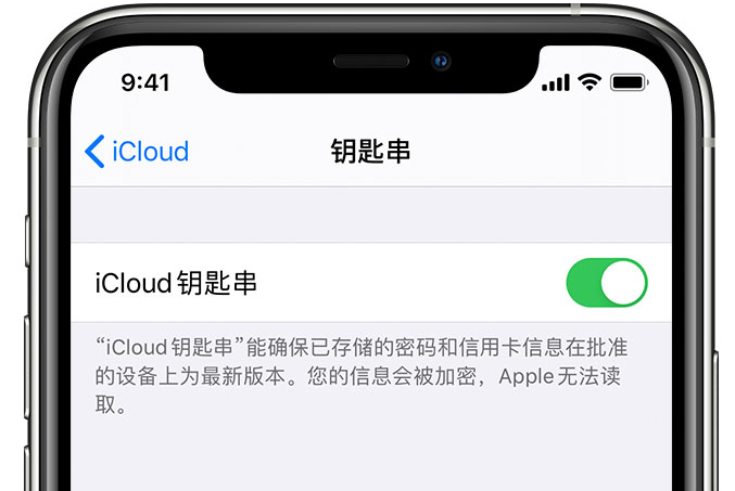 津南苹果手机维修分享在 iPhone 上开启 iCloud 钥匙串之后会储存哪些信息 