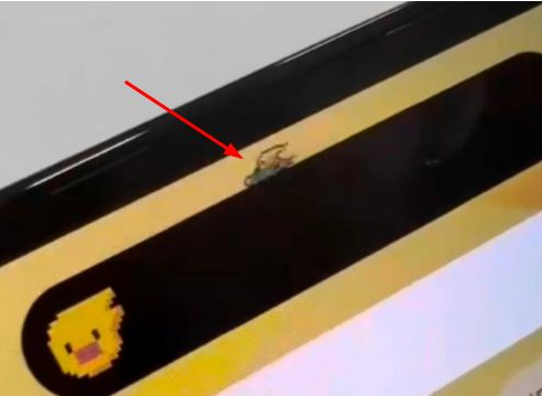 津南苹果14维修分享iPhone 14 Pro Max灵动岛怎么养宠物 