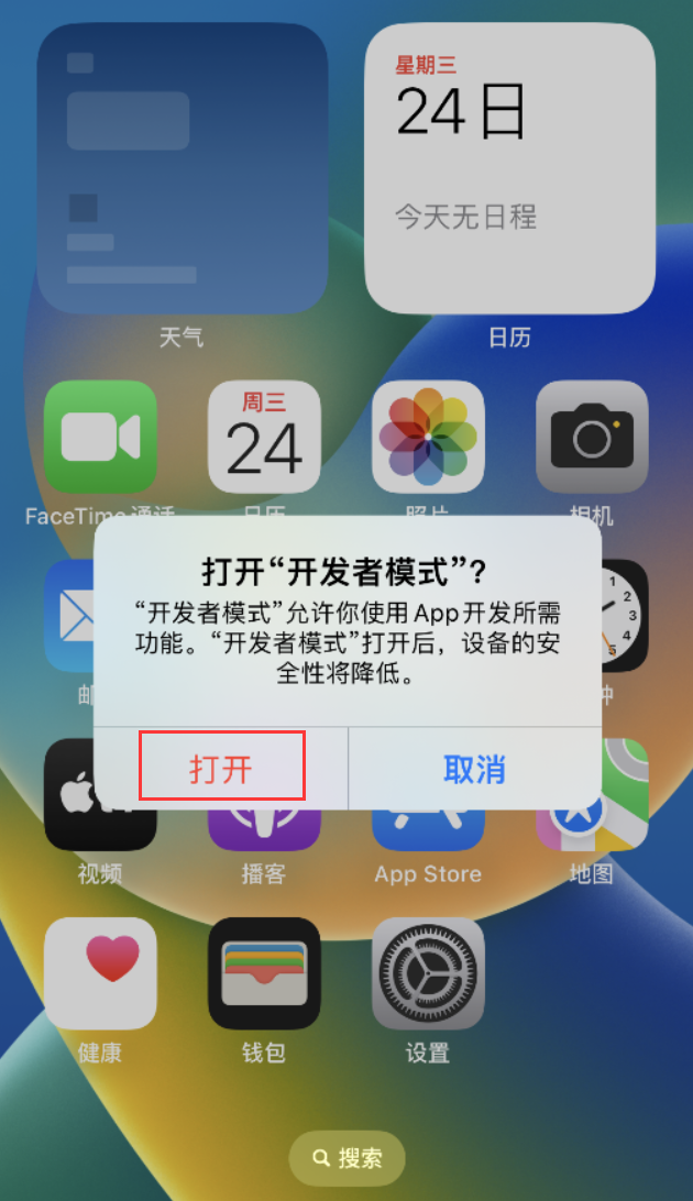津南苹果手机维修分享如何打开开发者模式 