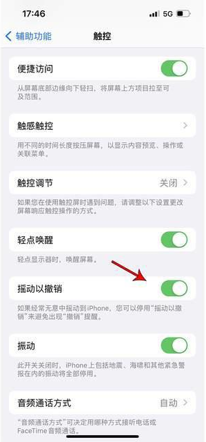 津南苹果手机维修分享iPhone手机如何设置摇一摇删除文字 