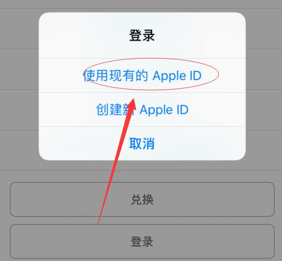 津南苹果手机维修分享两台iPhone设备可以同时登录一个Apple ID吗 