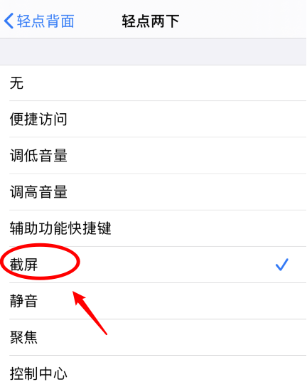 津南苹果手机维修分享iPhone12如何启用双击截屏 