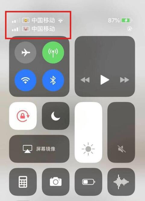 津南苹果手机维修分享为 iPhone 12 双卡设置标签 
