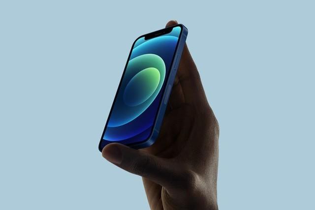 津南苹果手机维修分享iPhone 12 mini辐射很大吗 