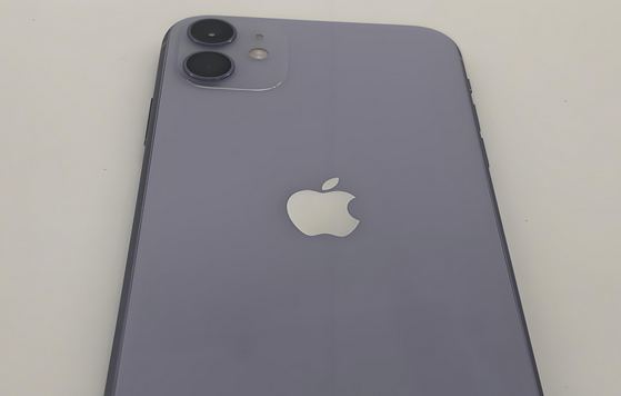 津南苹果11系统维修分享iPhone11手机系统崩溃无法开机如何解决